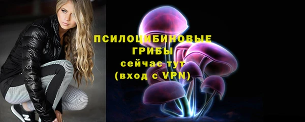 герыч Няндома