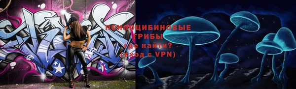 2c-b Нязепетровск