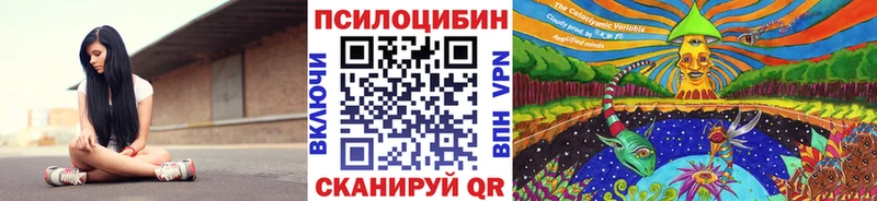 Купить  Зверево  Псилоцибиновые грибы прущие грибы 